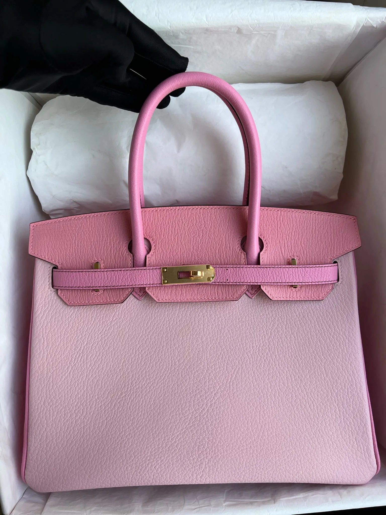Birkin 30