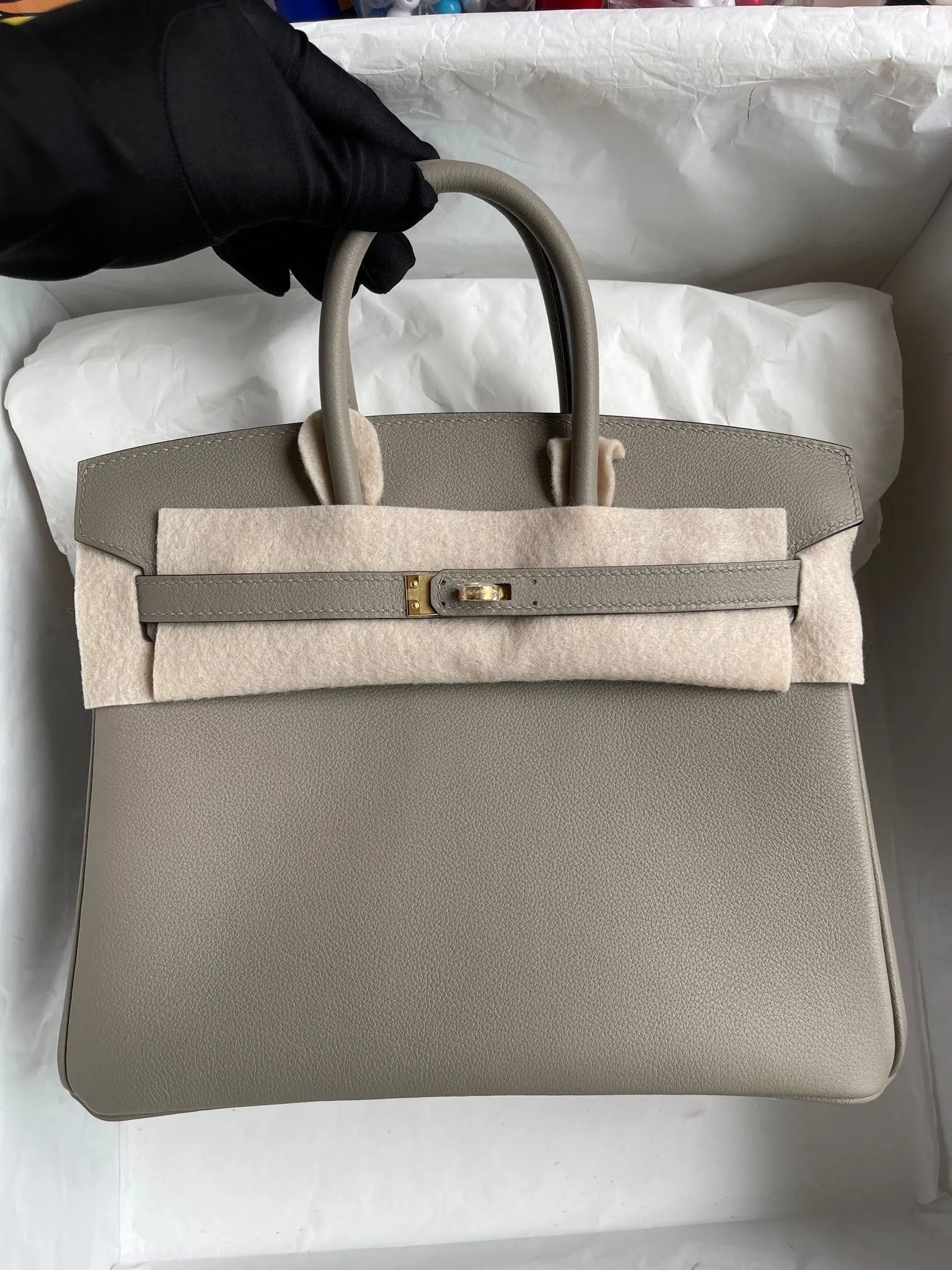 Birkin 25