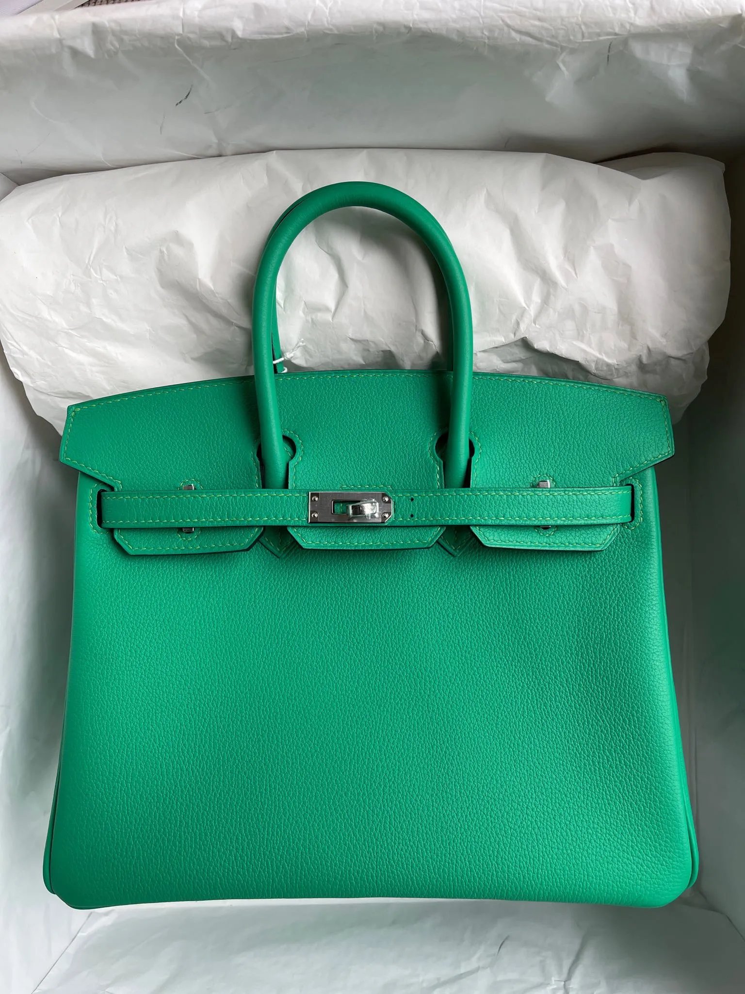 Birkin 25
