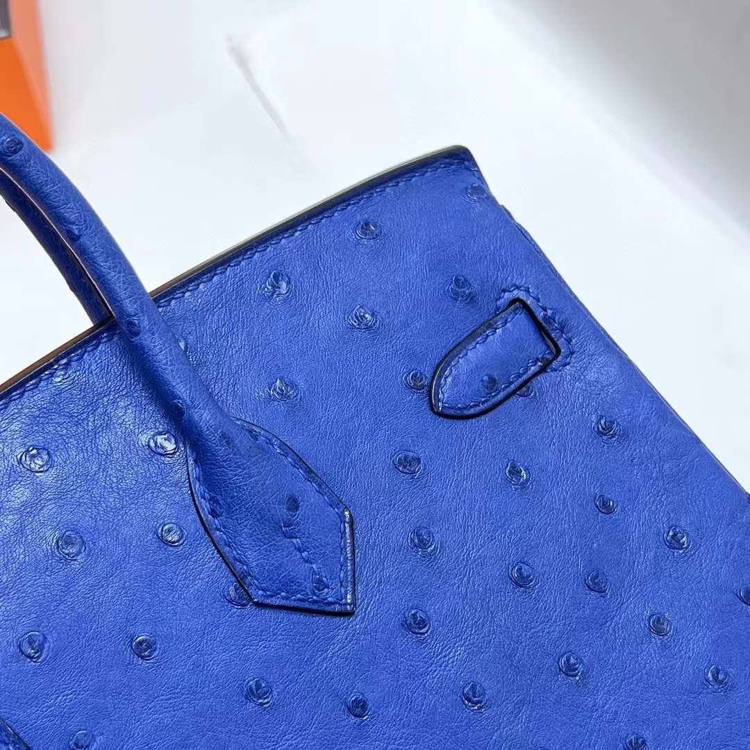 Birkin 25