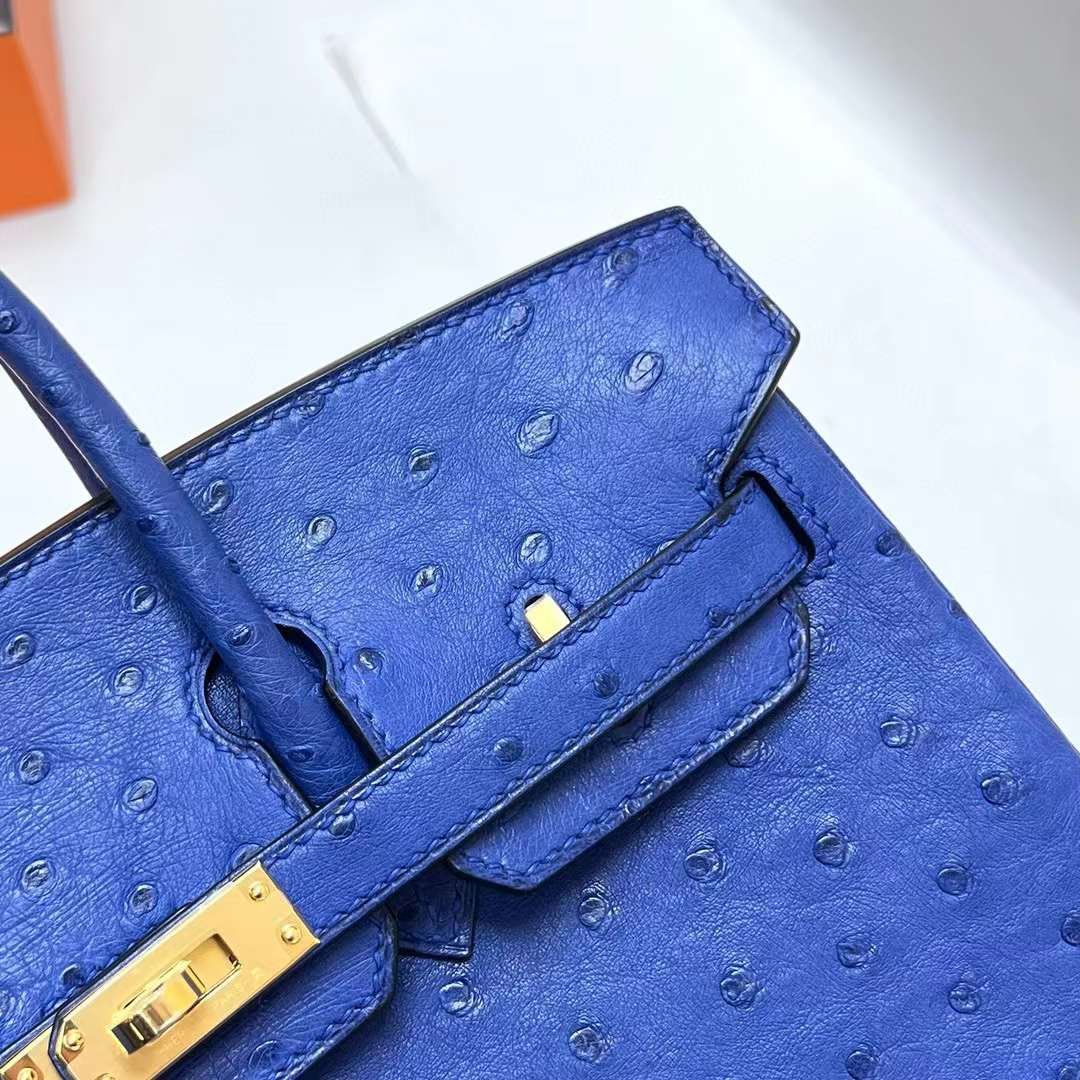 Birkin 25