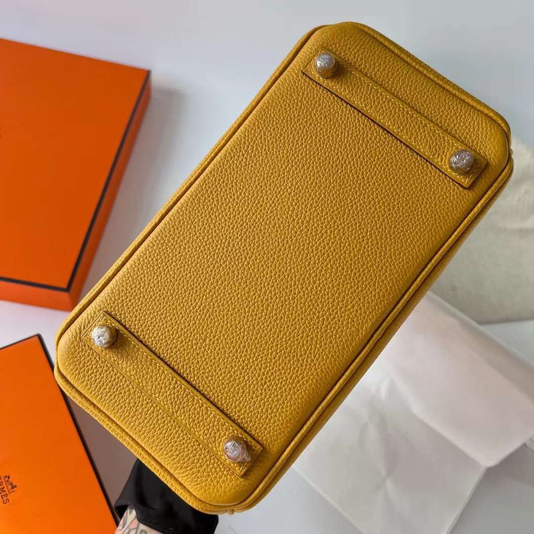 Birkin 25