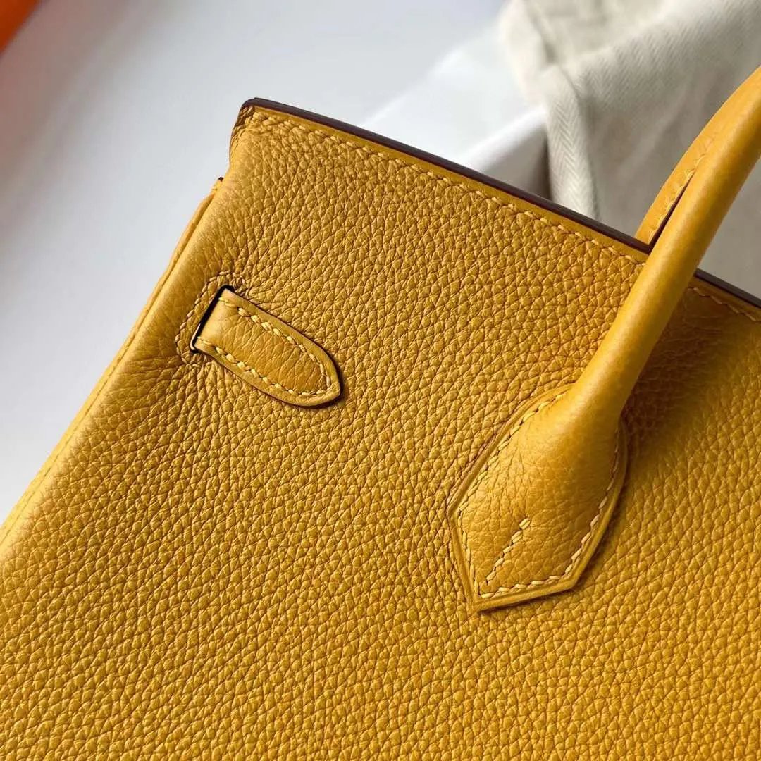 Birkin 25
