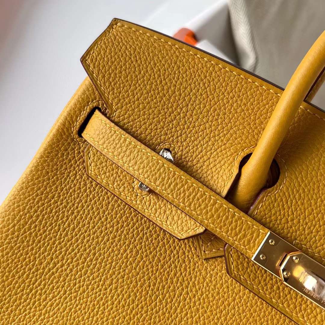 Birkin 25
