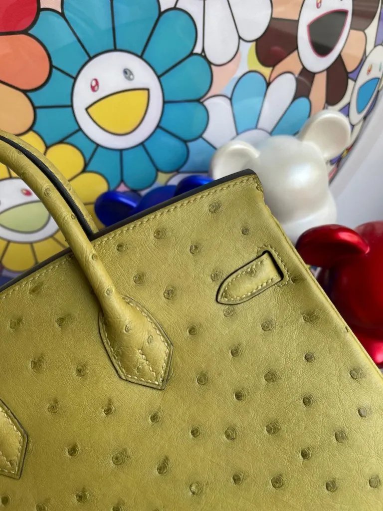 Birkin 25