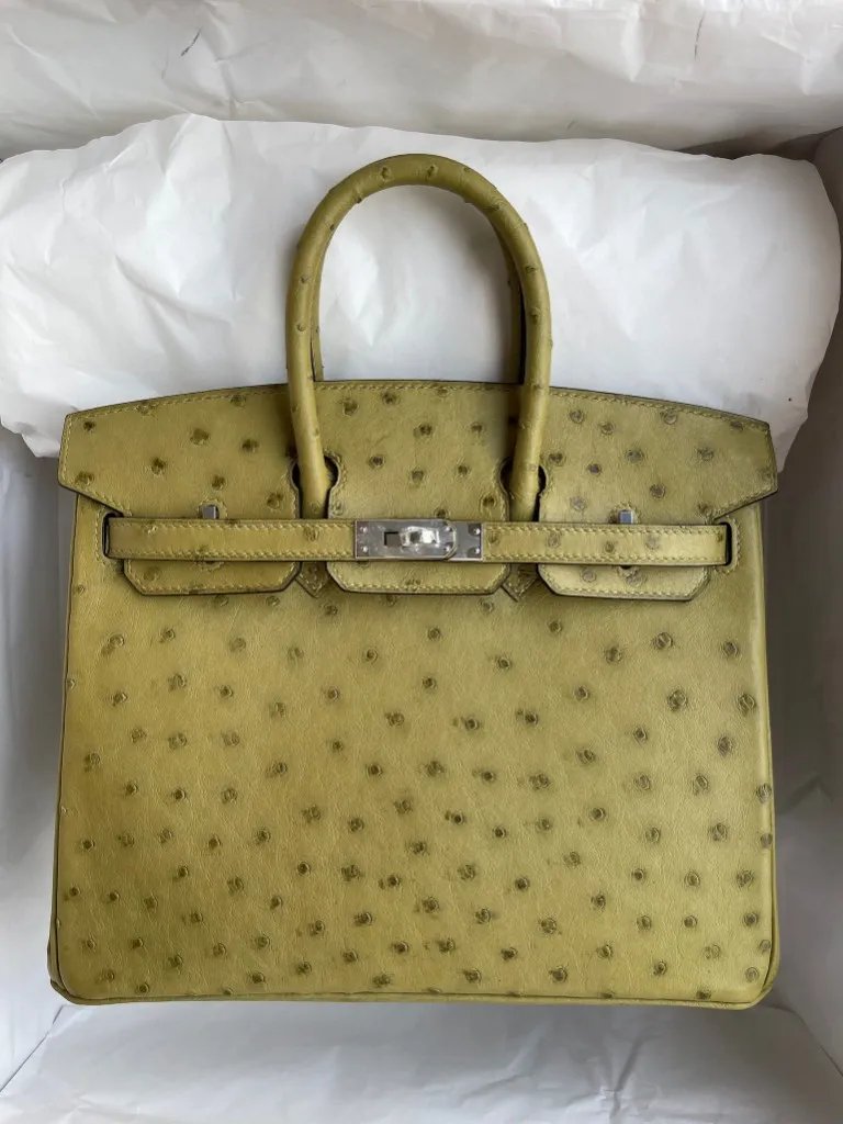 Birkin 25