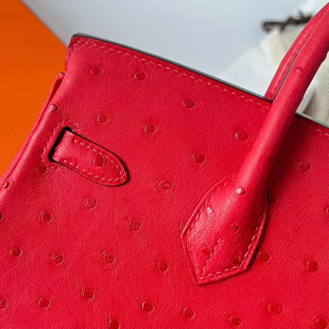 Birkin 25