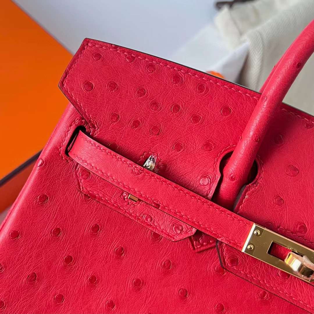 Birkin 25