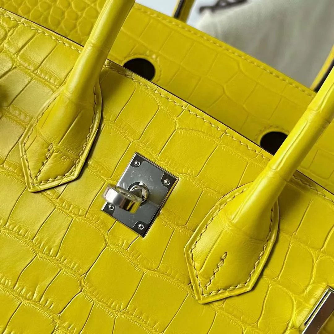 Birkin 25