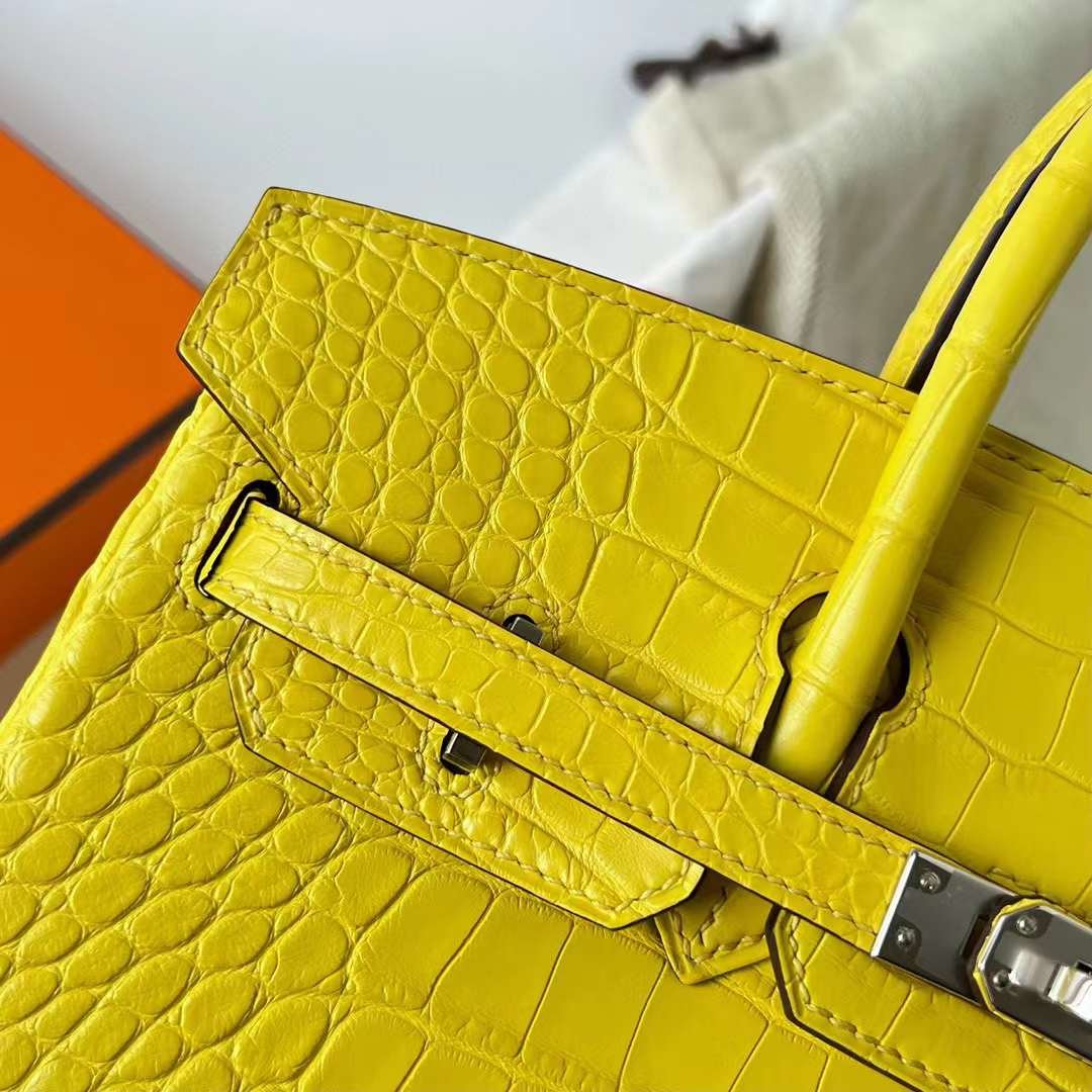 Birkin 25