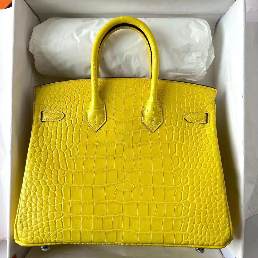 Birkin 25