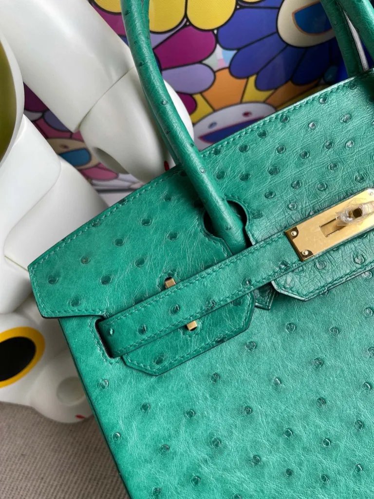 Birkin 30