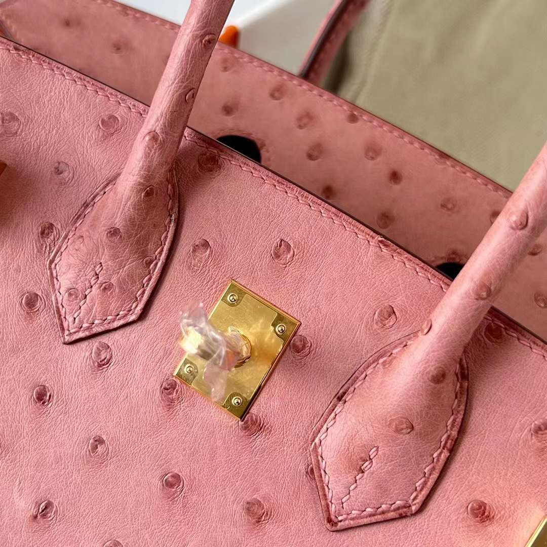 Birkin 25