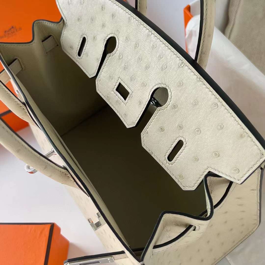Birkin 25