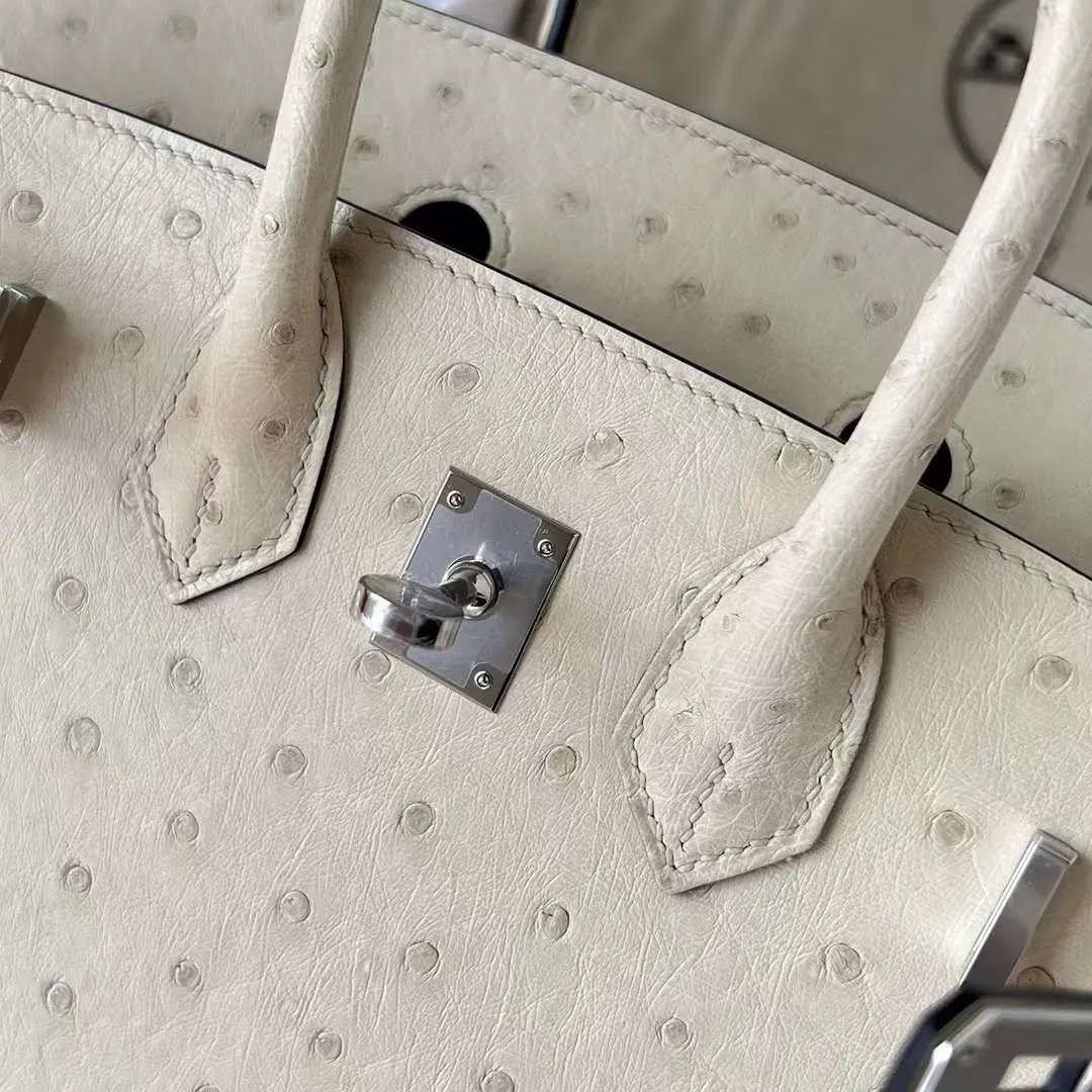 Birkin 25
