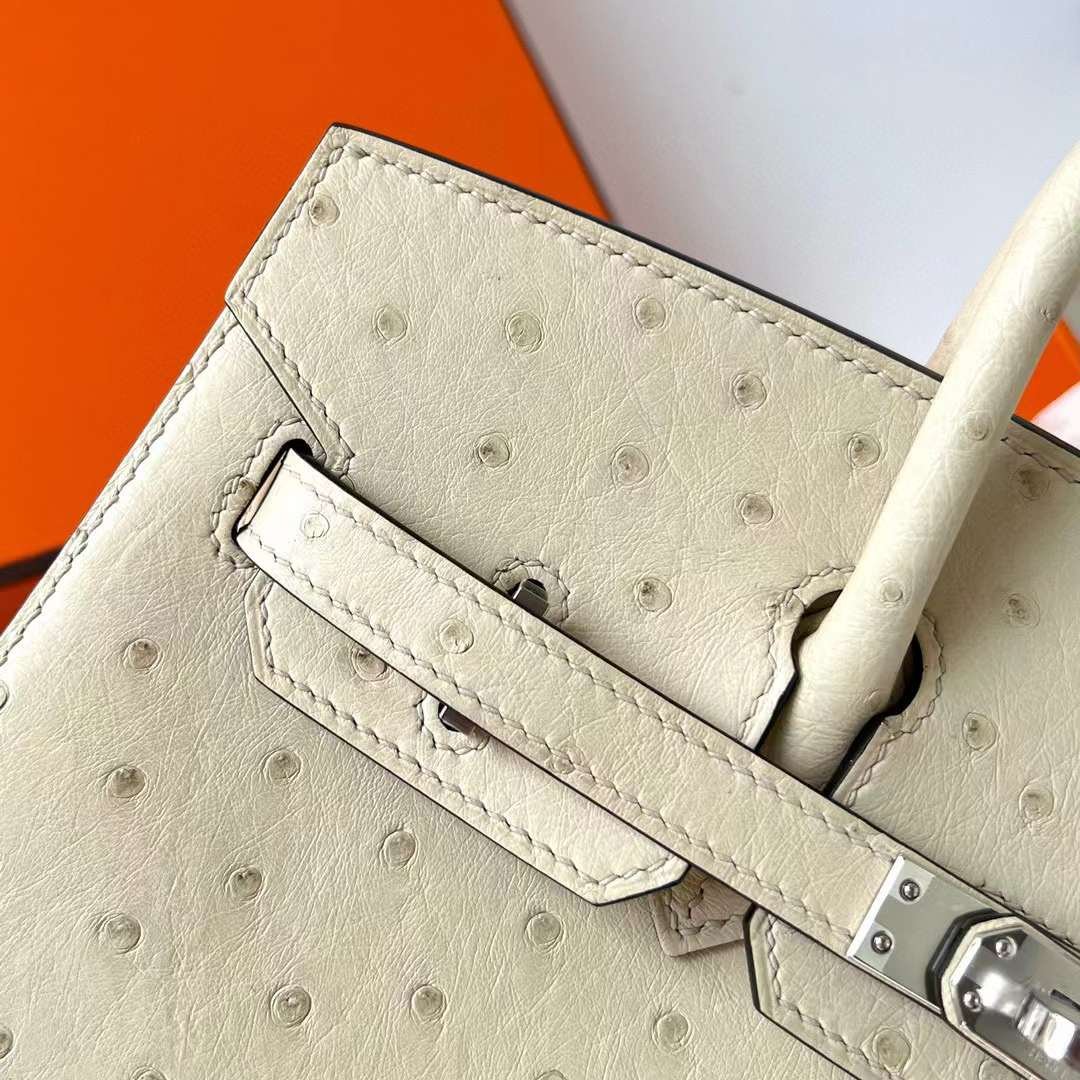 Birkin 25