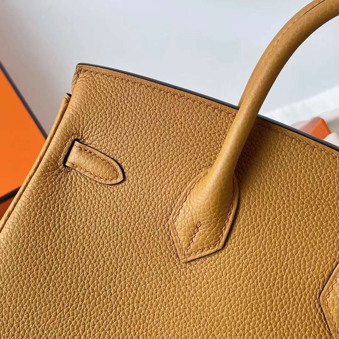 Birkin 25