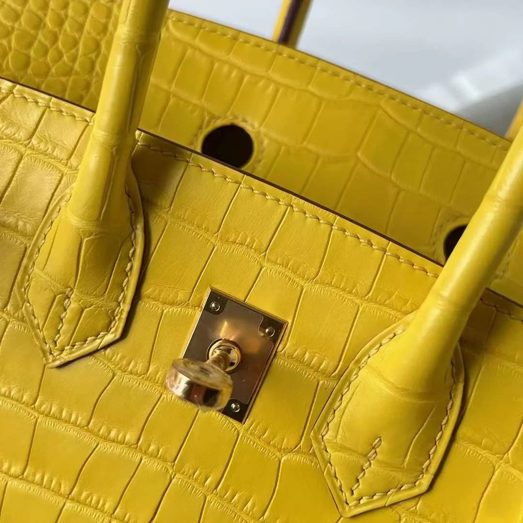 Birkin 25