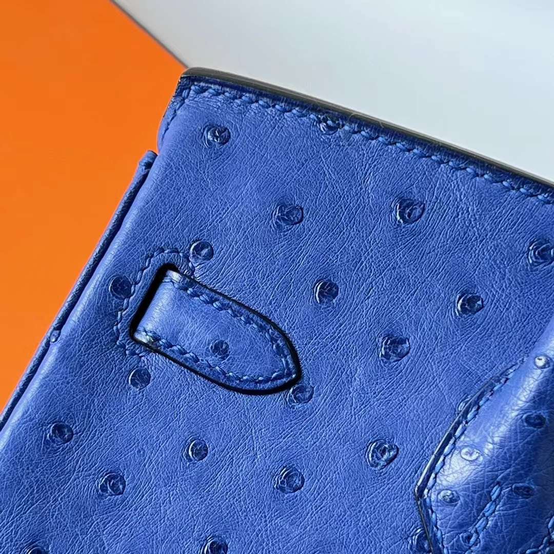 Birkin 25