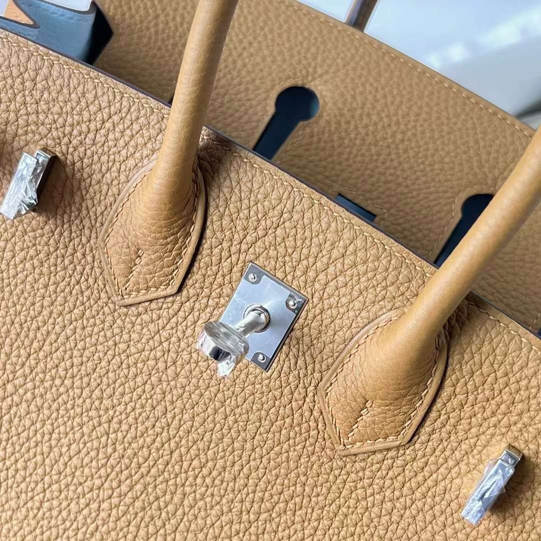 Birkin 25
