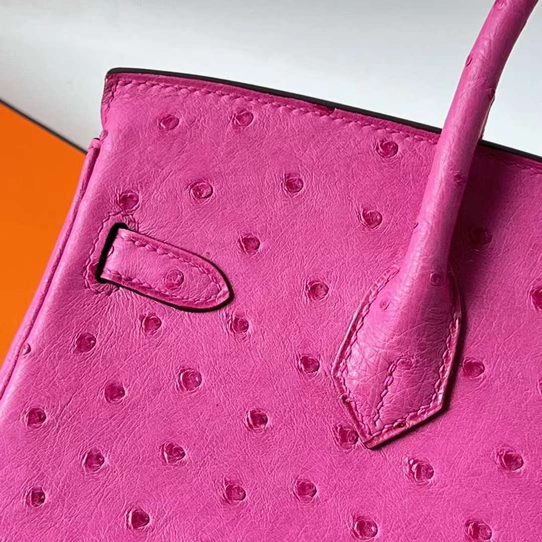 Birkin 25