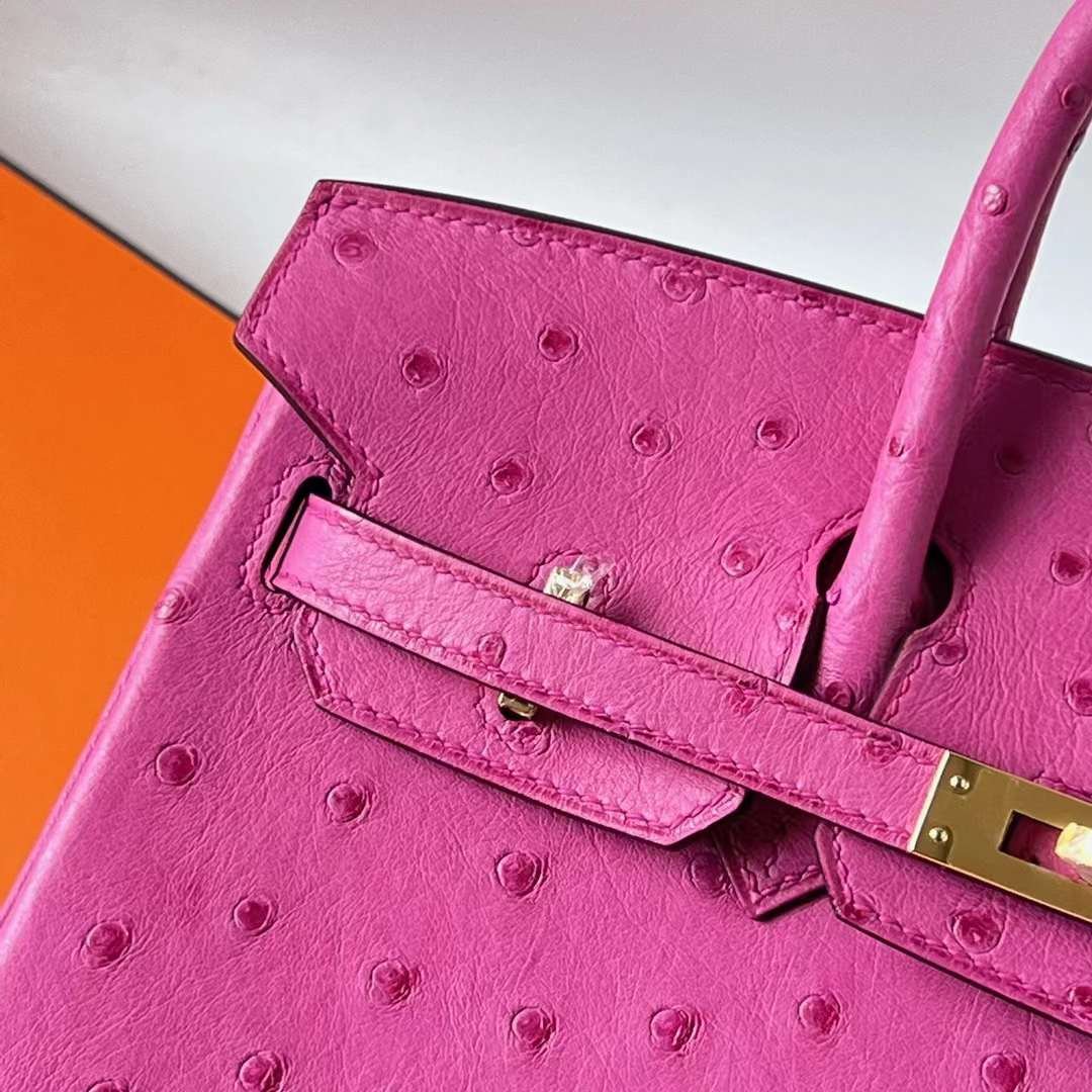 Birkin 25