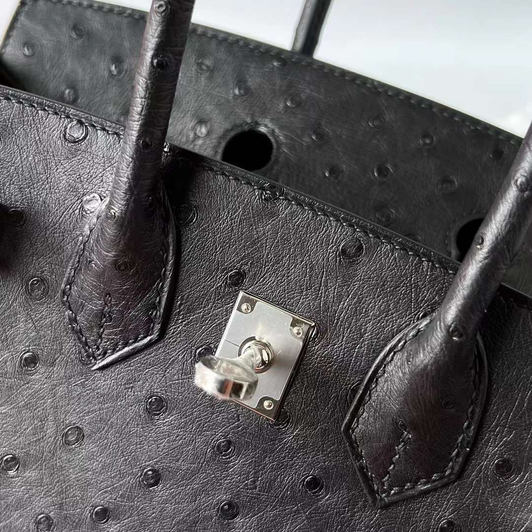 Birkin 25