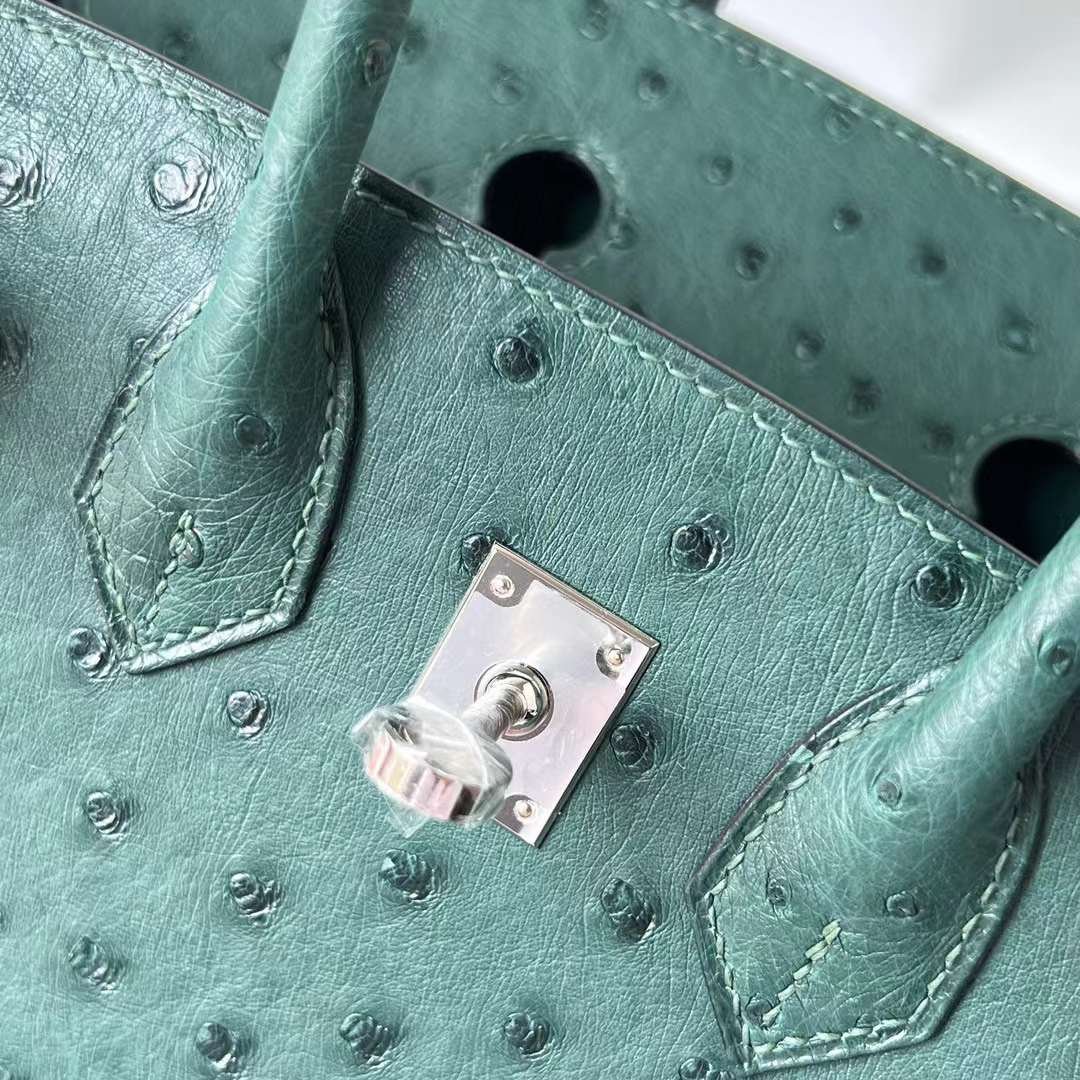 Birkin 25