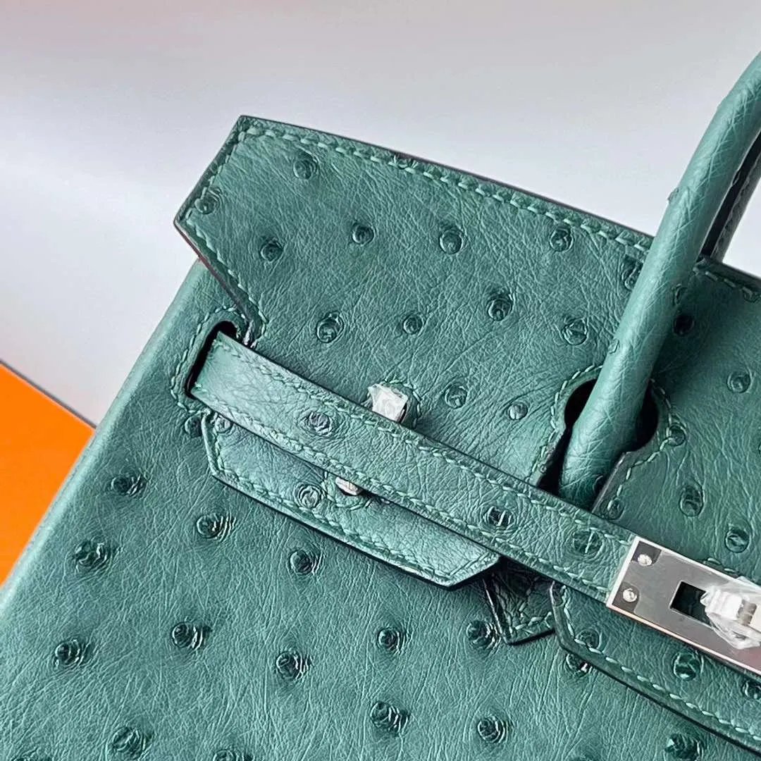 Birkin 25