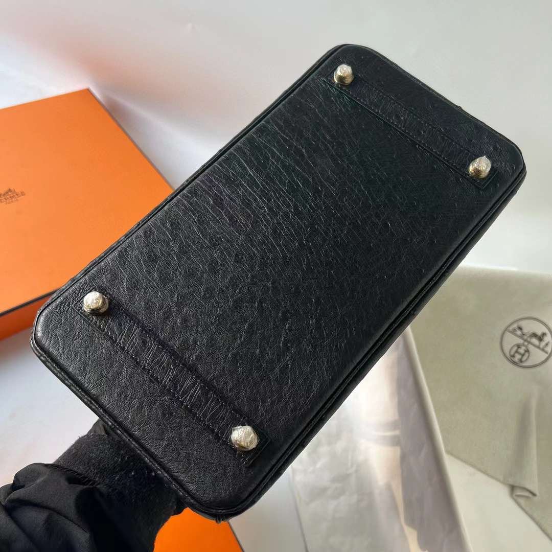 Birkin 30