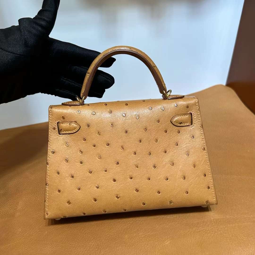 Mini Kelly 19