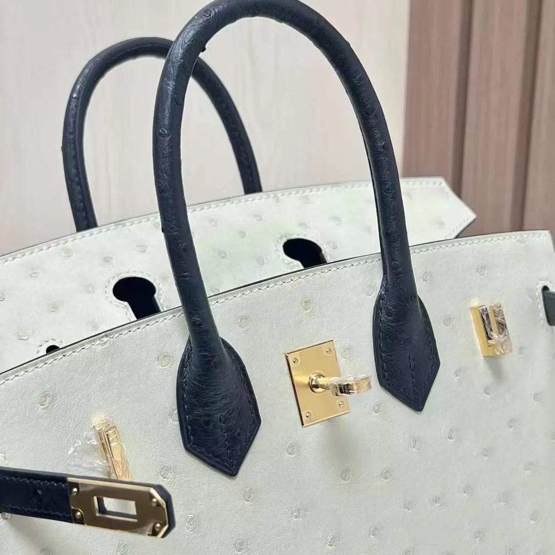 Birkin 25