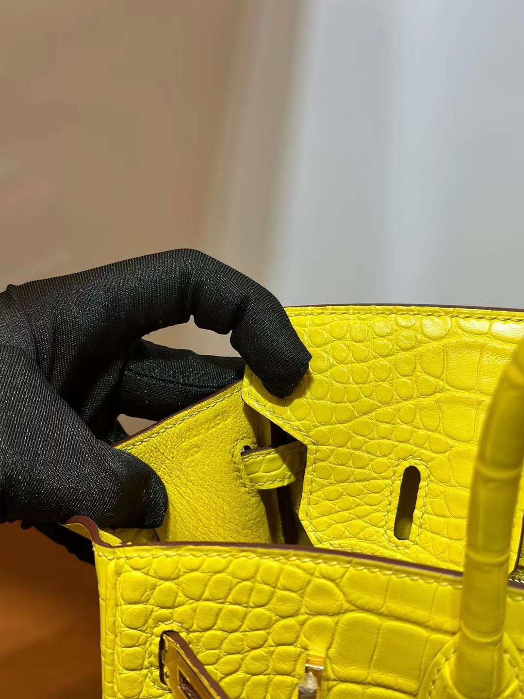 Birkin 25
