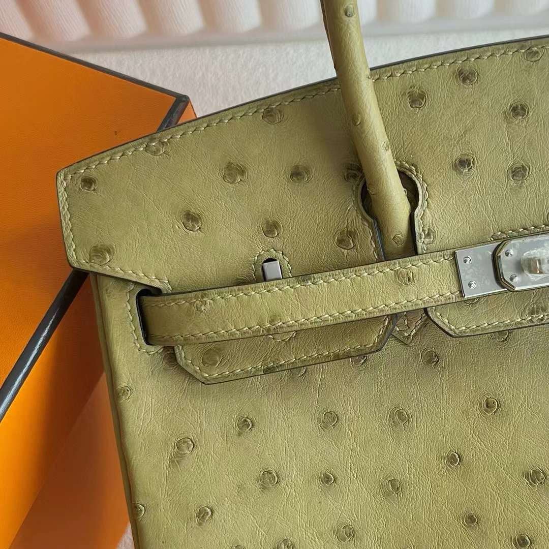 Birkin 25