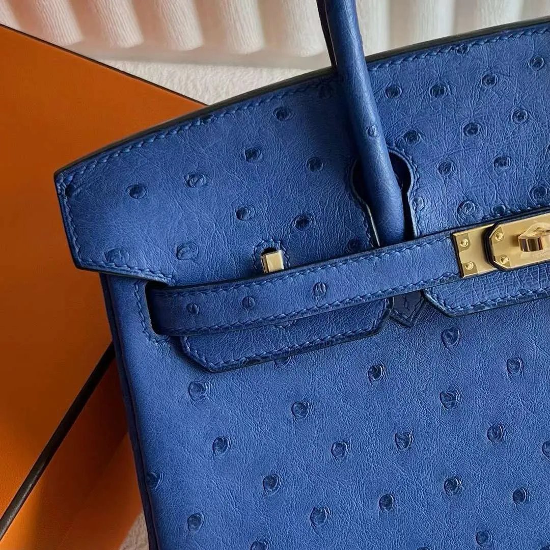 Birkin 25