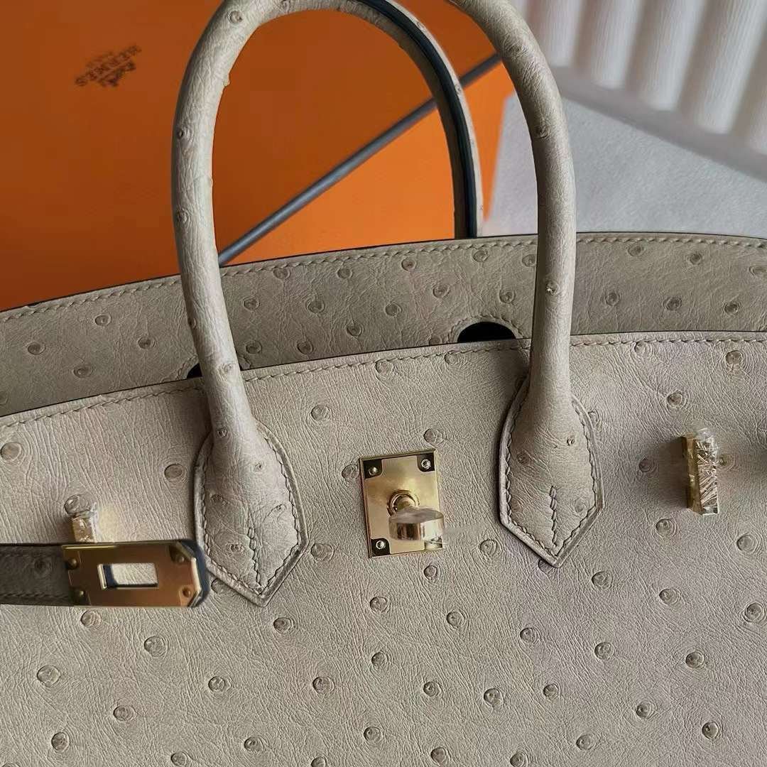 Birkin 25
