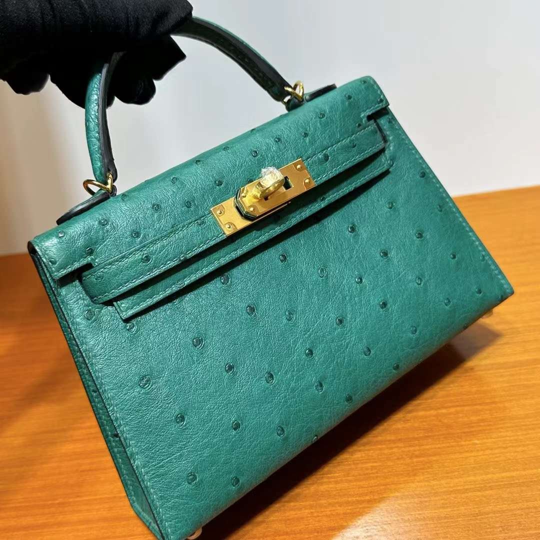 Mini Kelly 19