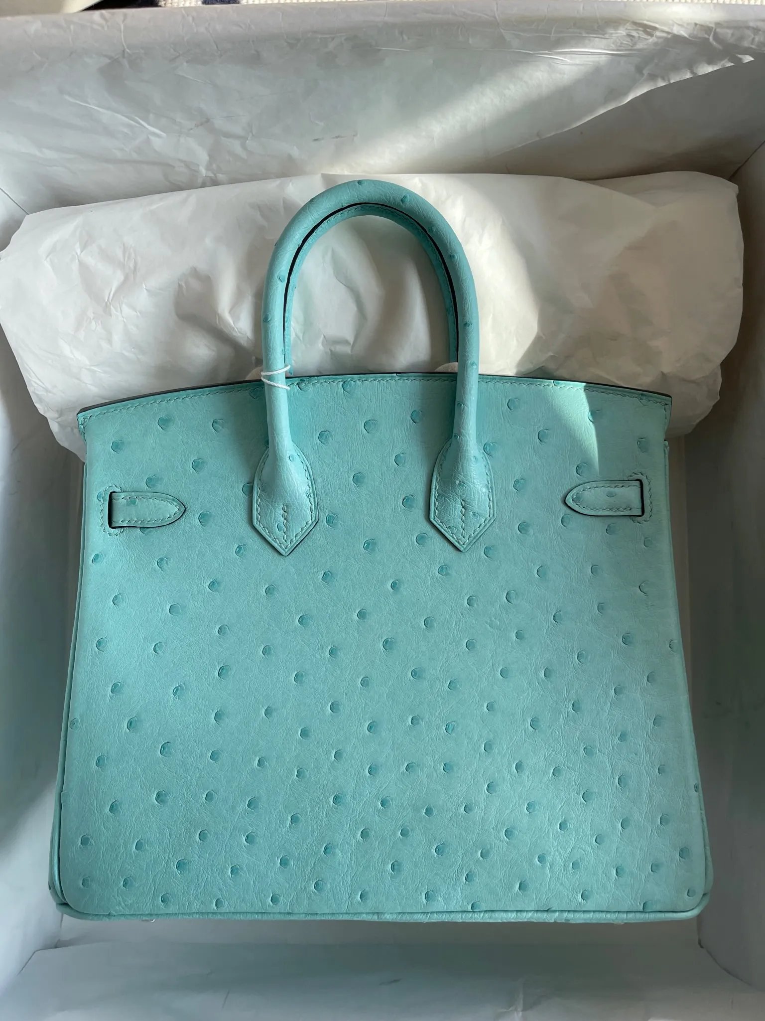 Birkin 25