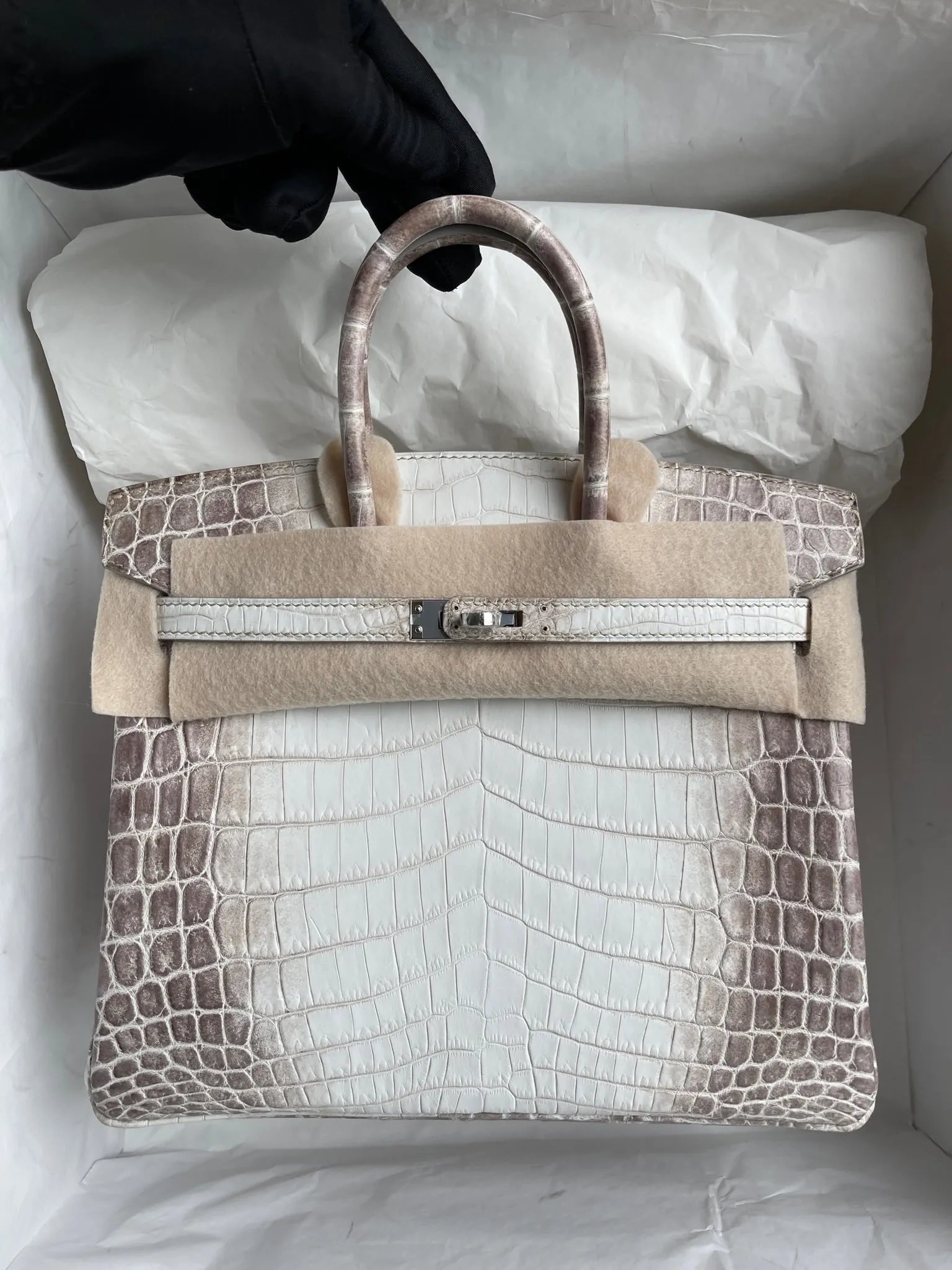 Birkin 25