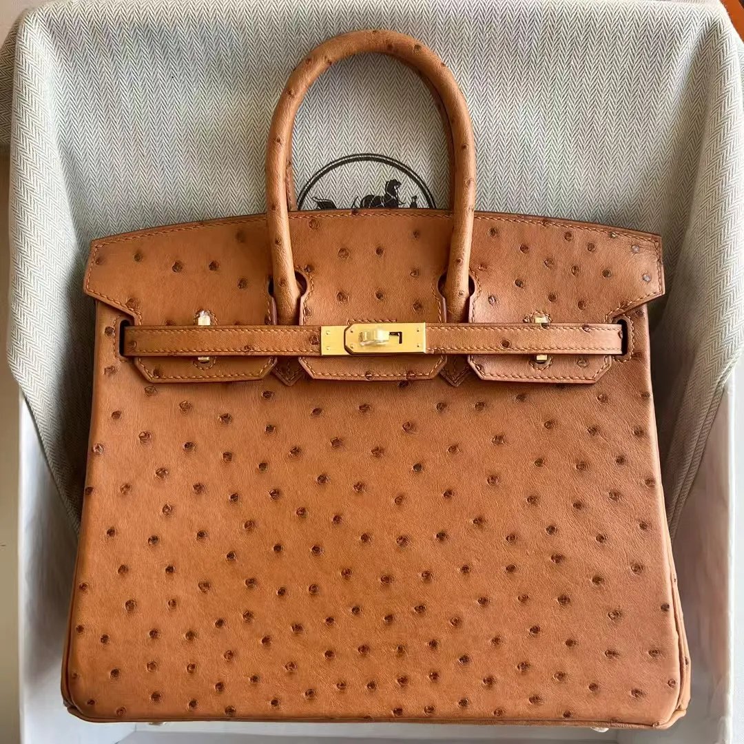 Birkin 25