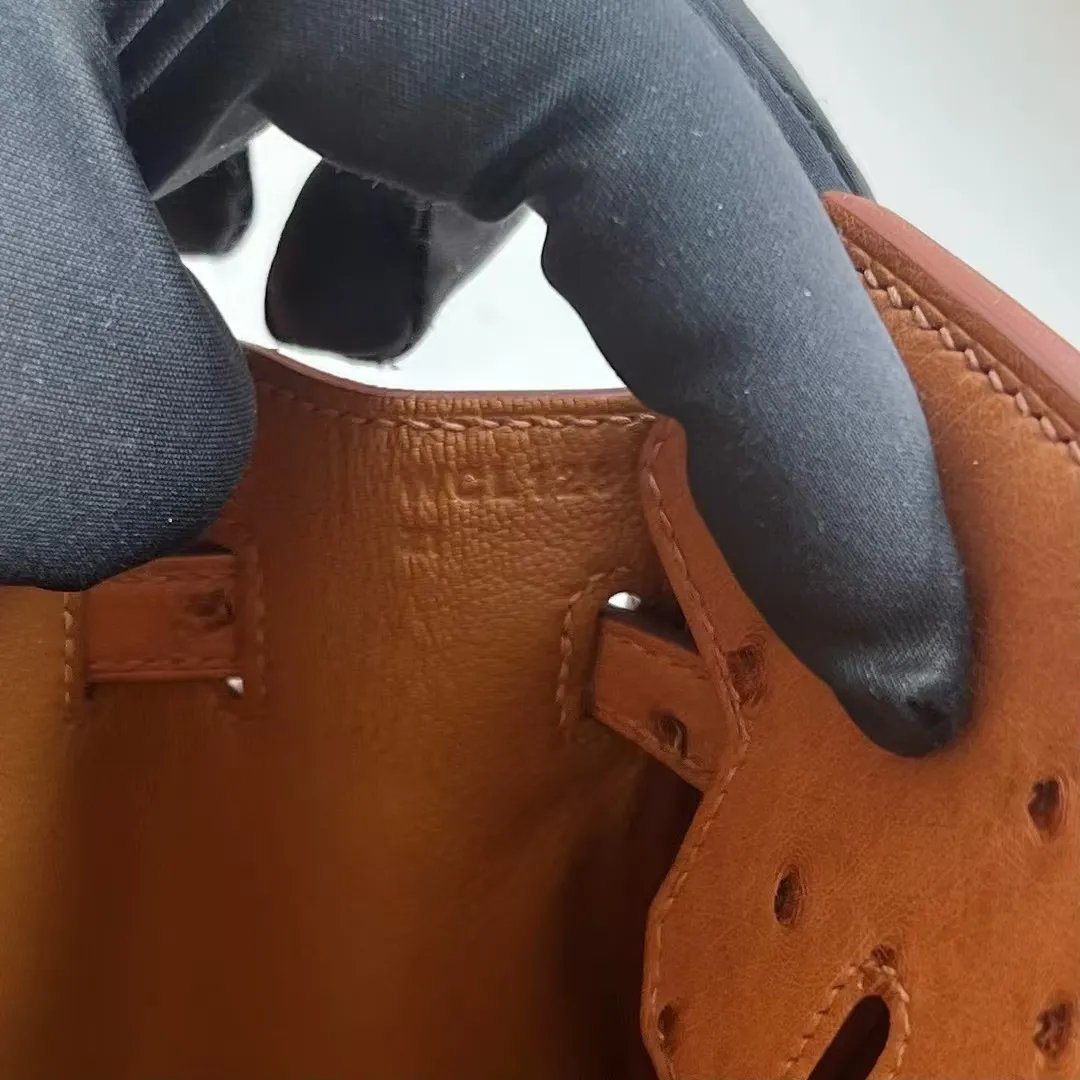 Birkin 25