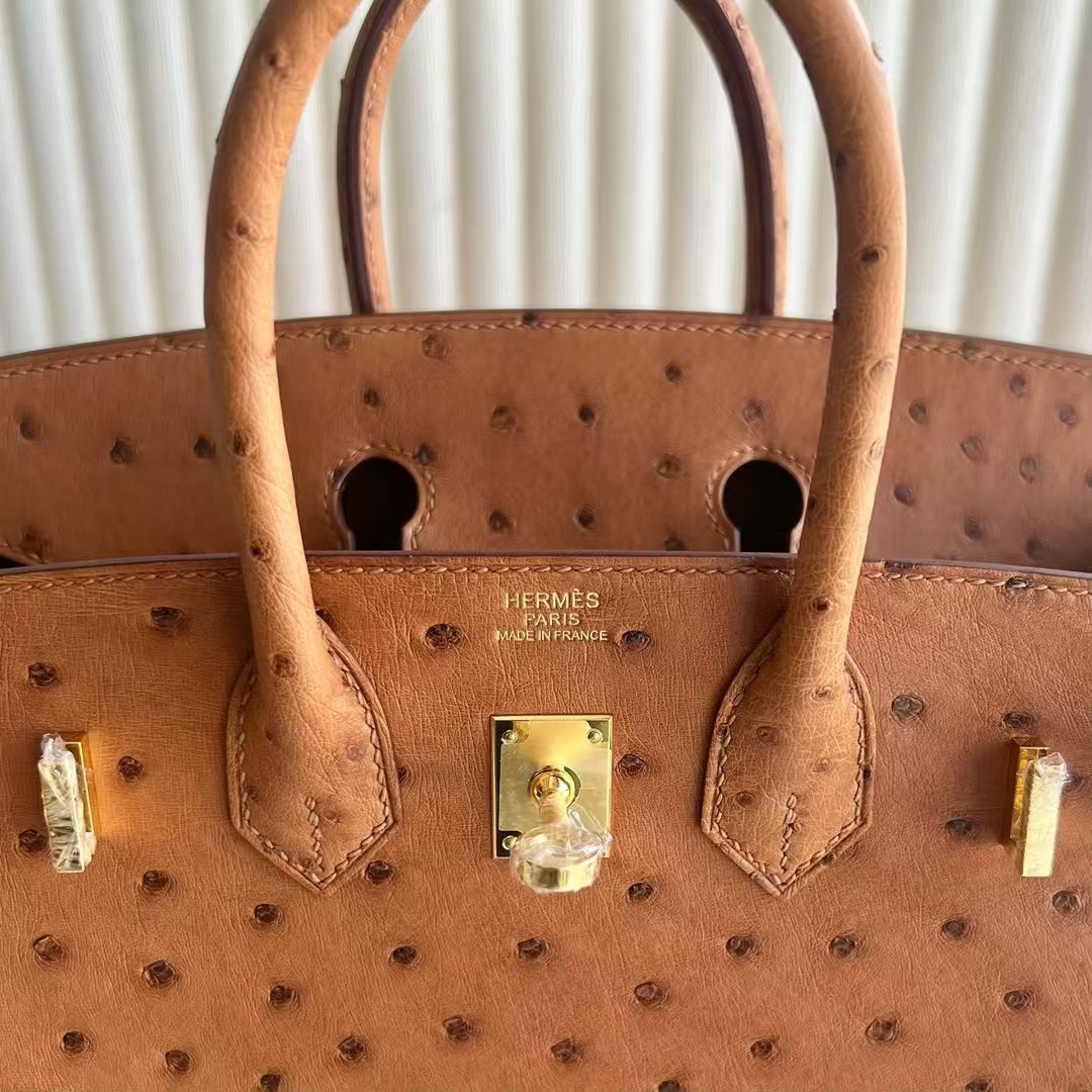 Birkin 25