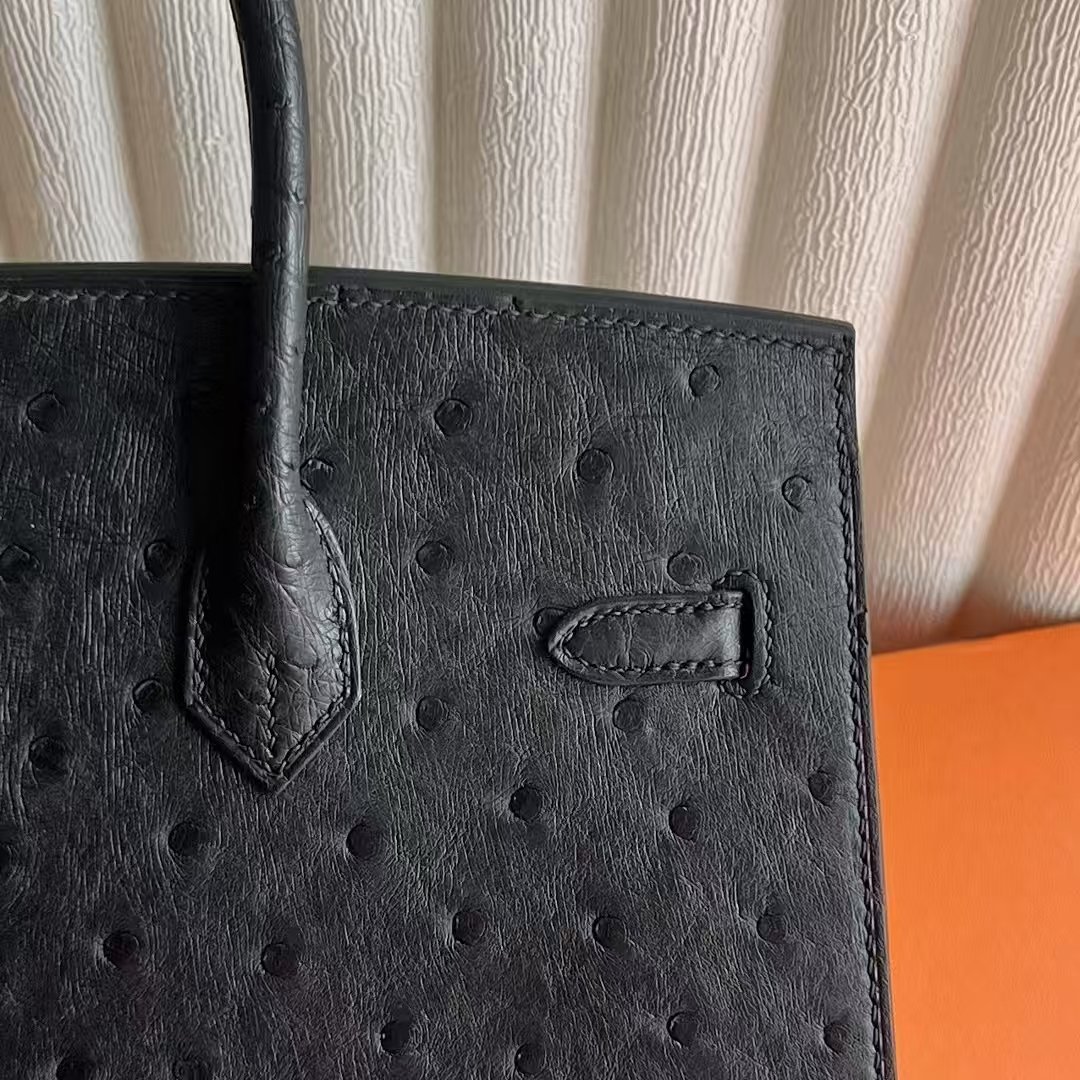 Birkin 25
