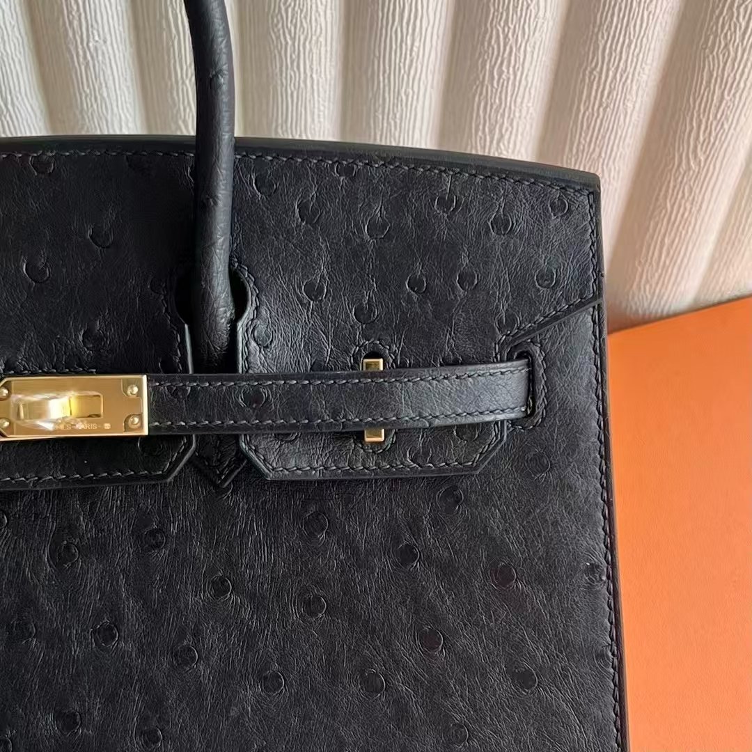 Birkin 25