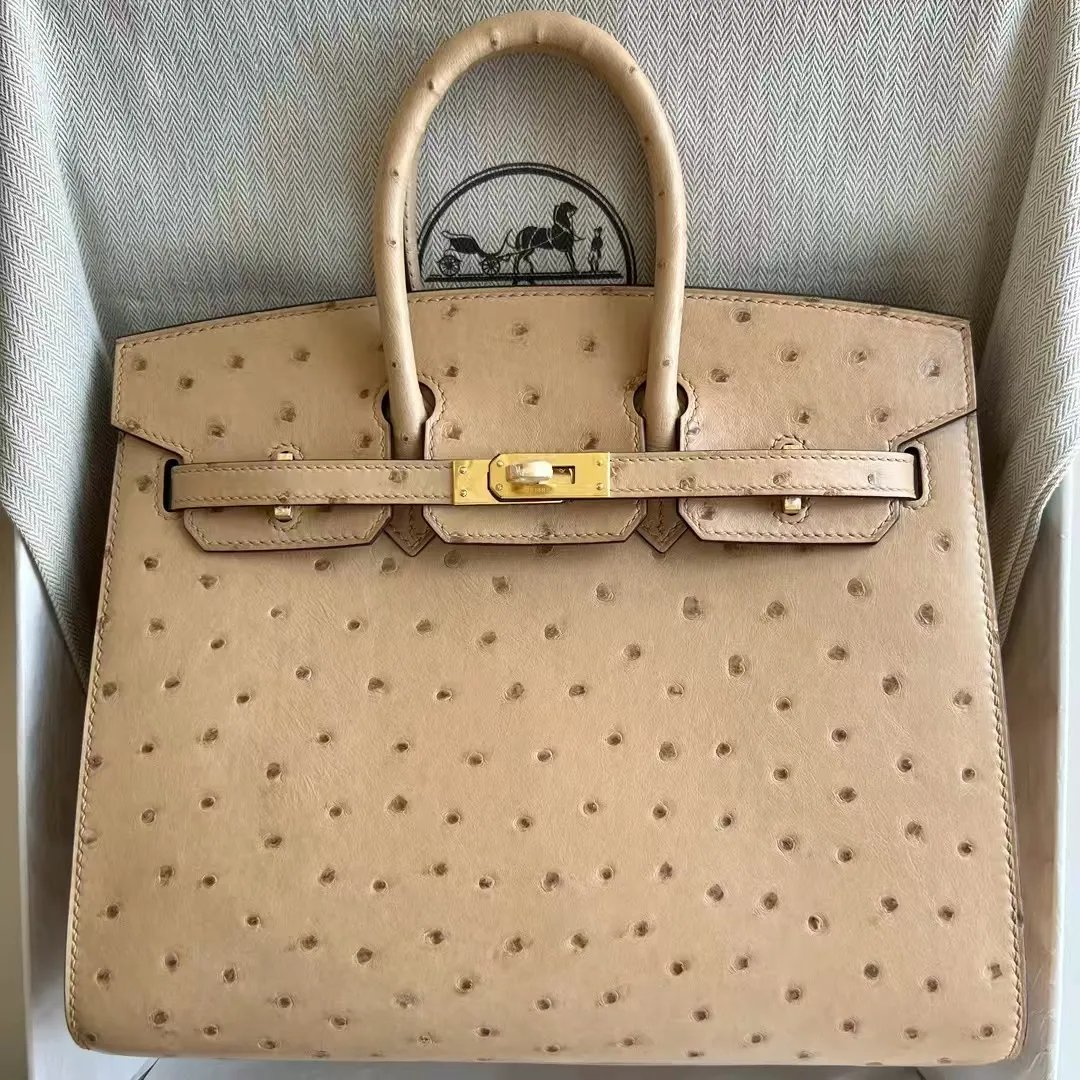 Birkin 25