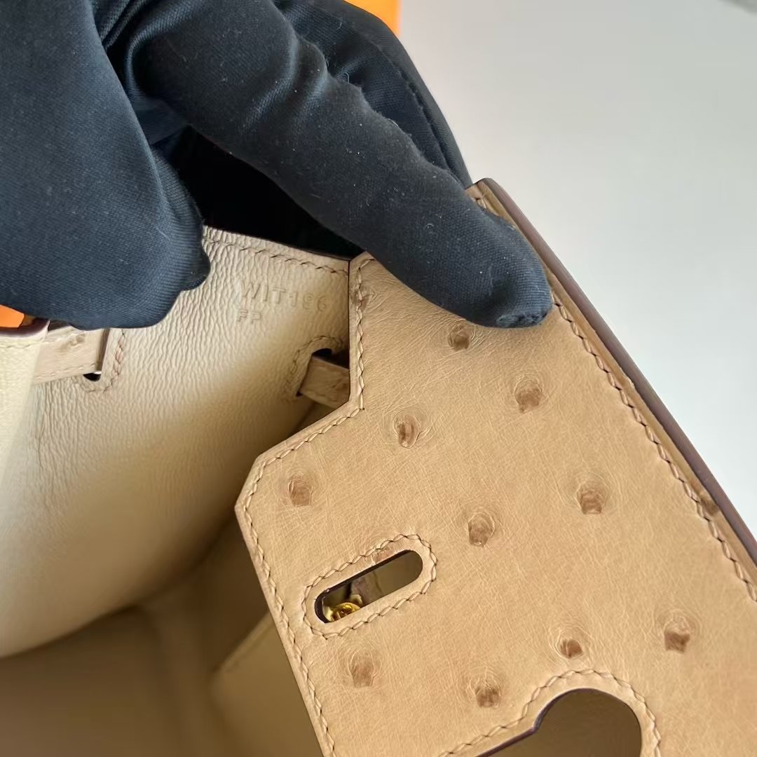 Birkin 25