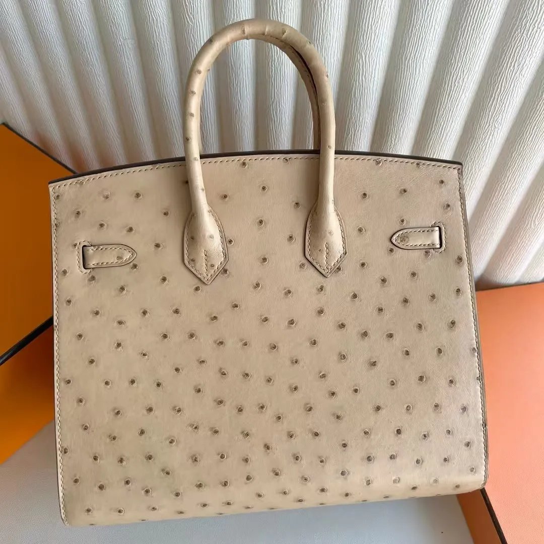 Birkin 25