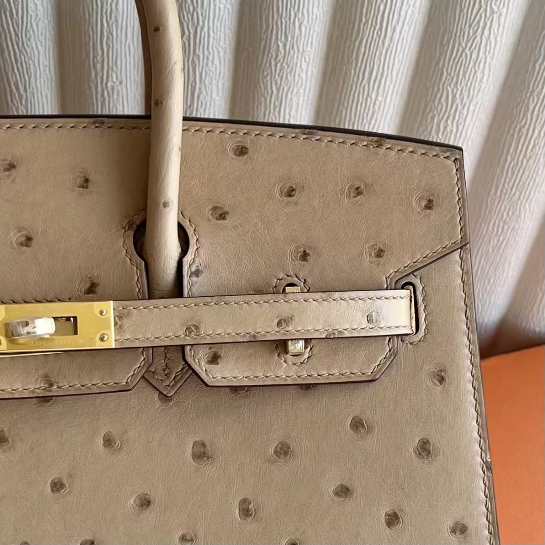 Birkin 25