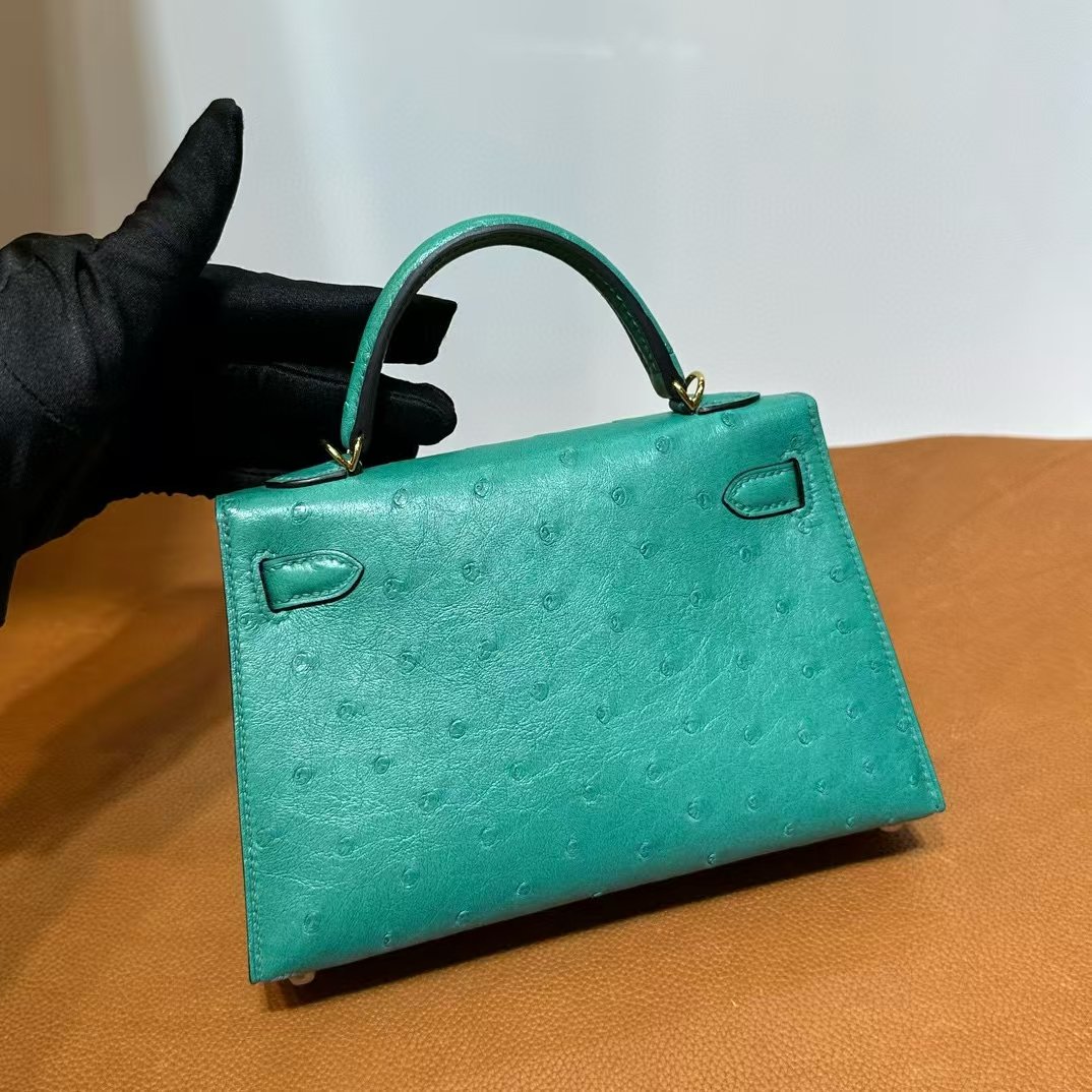 Mini Kelly 19