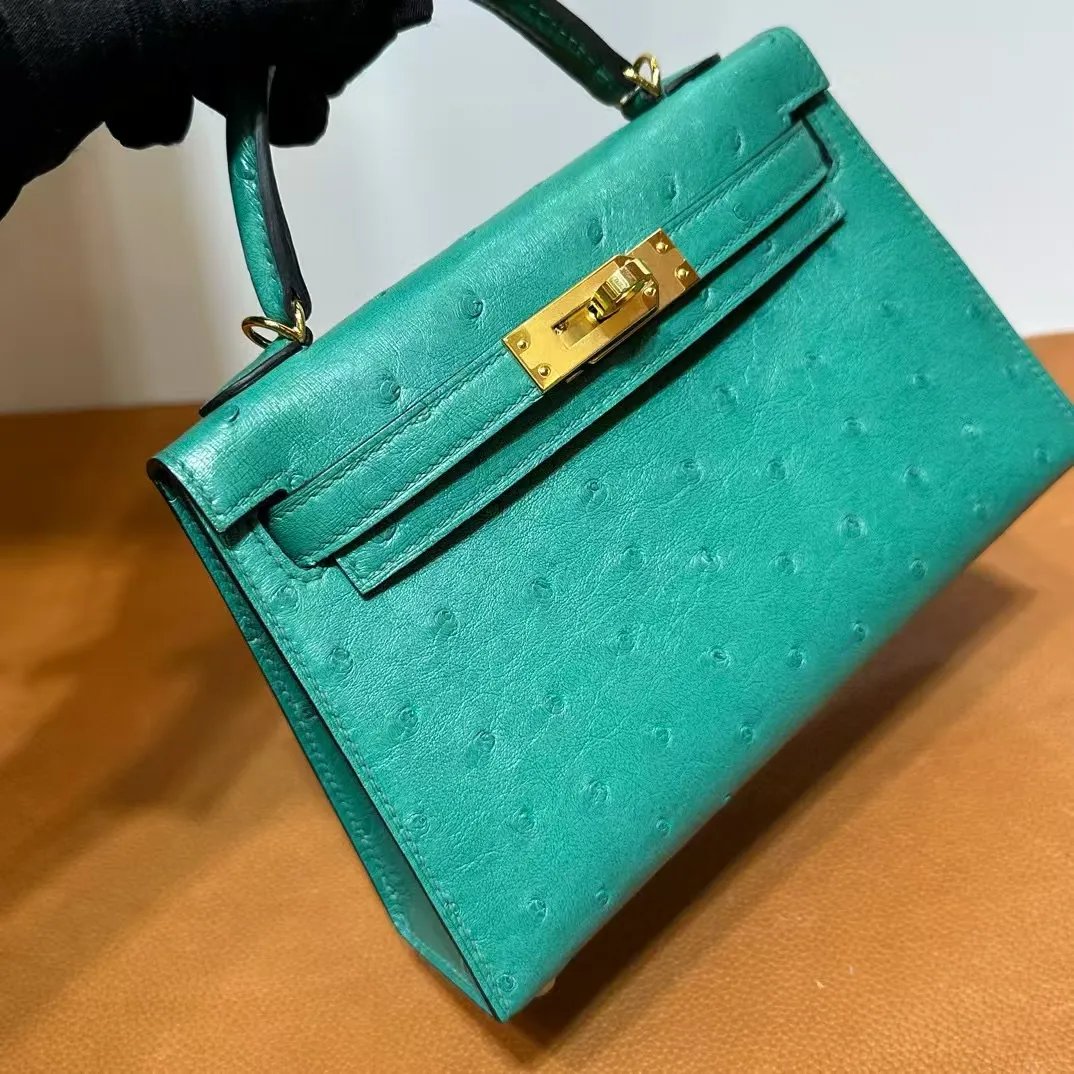 Mini Kelly 19